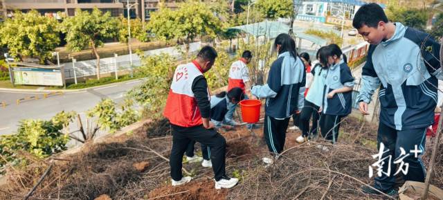 龍東社區(qū)植樹5.jpg