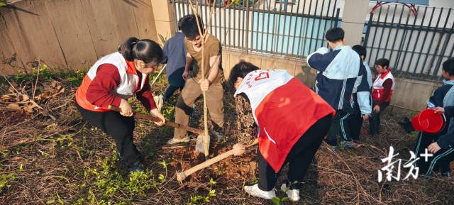 龍東社區(qū)植樹6.jpg