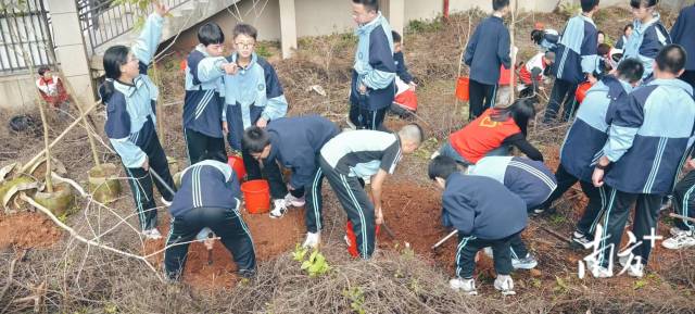 龍東社區(qū)植樹7.jpg